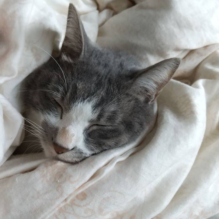 4414f471 6e63 4c6b b6e4 a8fbe6aa2e17 1634608628867