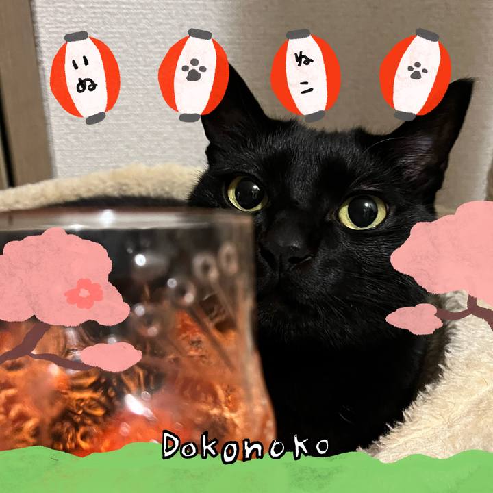 441508c3 188e 469c b99f 341aec28754e 1712371049827