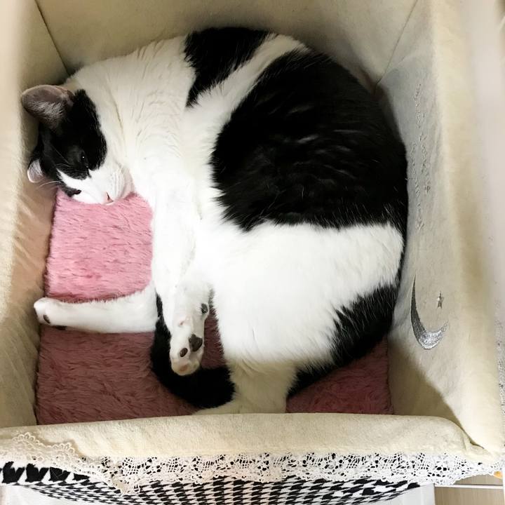 44151915 568c 4d4f b718 2b3e610c4843 1516411409678