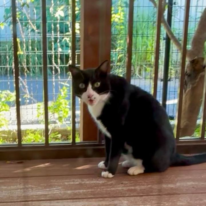 4415c47e 0142 4f97 b4ec 7c7d97f8b9c2 1753522863851