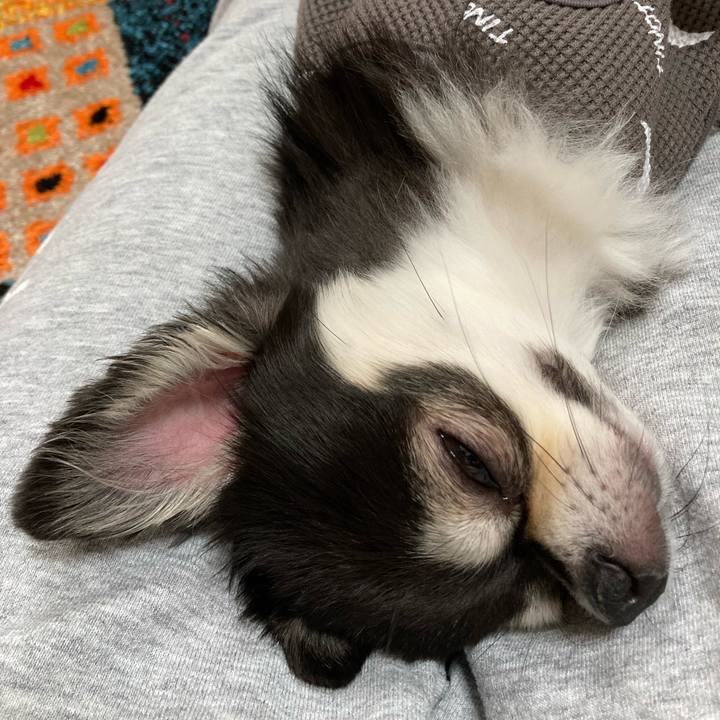 4415cbb7 7d79 4947 95e3 e5b65ed668fa 1682782509076