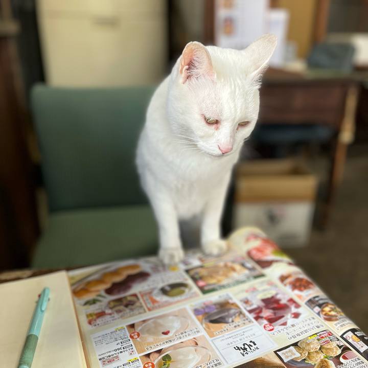 44161852 3bbf 403e 9d08 d04c1f90b0b6 1769587320320