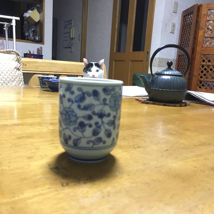 44165925 f13e 44ab 847a 2a2d492339b4 1530808660815