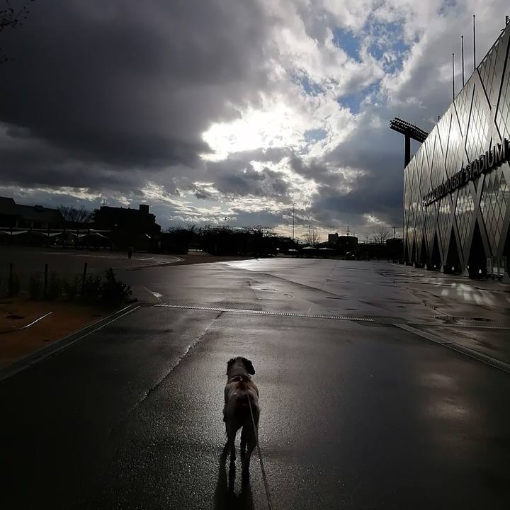 4416593c 05ea 42e8 97c1 de14d1cd3523 1613387929548