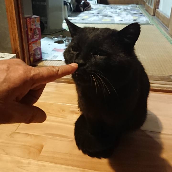 44166748 3adb 4062 b13a 525e21ee4b58 1620213226188