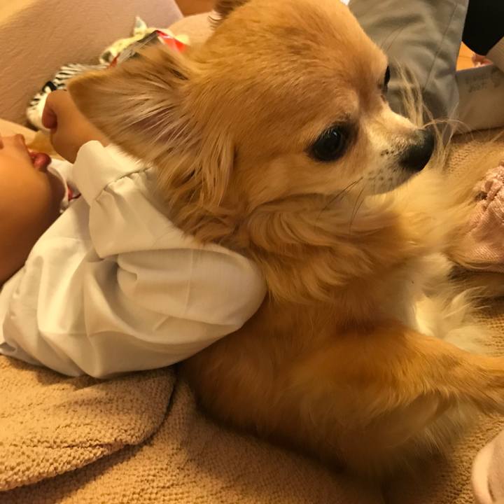 4416c214 5a48 4b31 86d7 b3dbbc7a0168 1542268084381