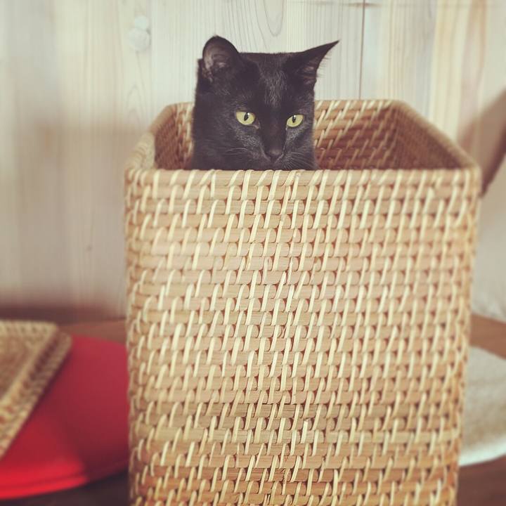 4416d844 8dd8 4b5d bbd3 32c3b332b7db 1510966313694