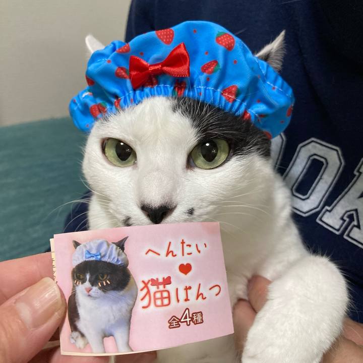 4416ea35 aefa 4683 a504 e2aa37c9bfc0 1762249803831