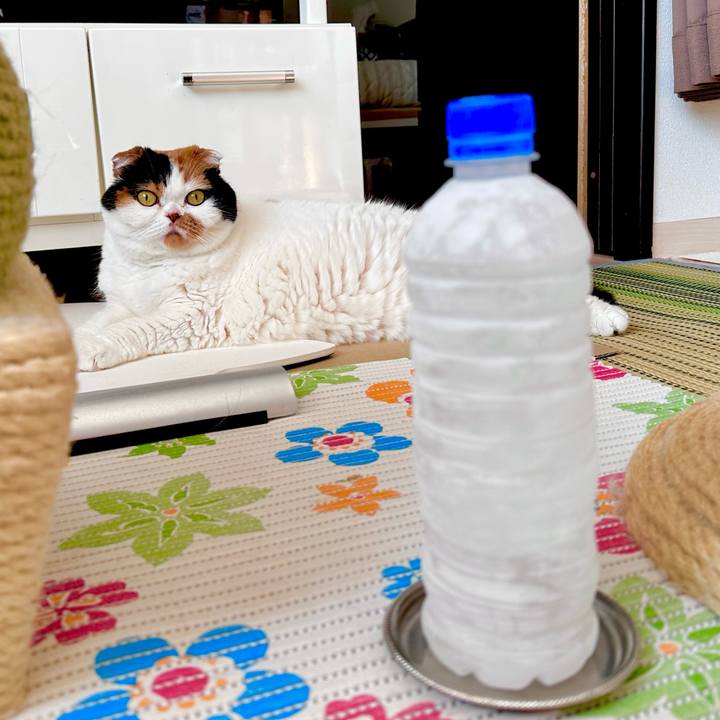 441722be 1a13 4a37 a096 97d2205dc3f6 1690355730055