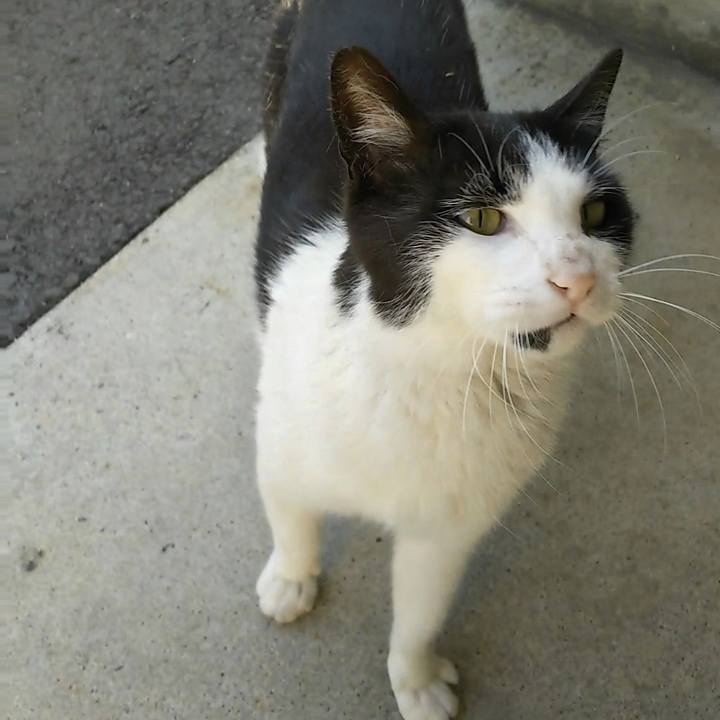 44172a58 7245 4d3a 82ad 11cb9719c849 1524487222610