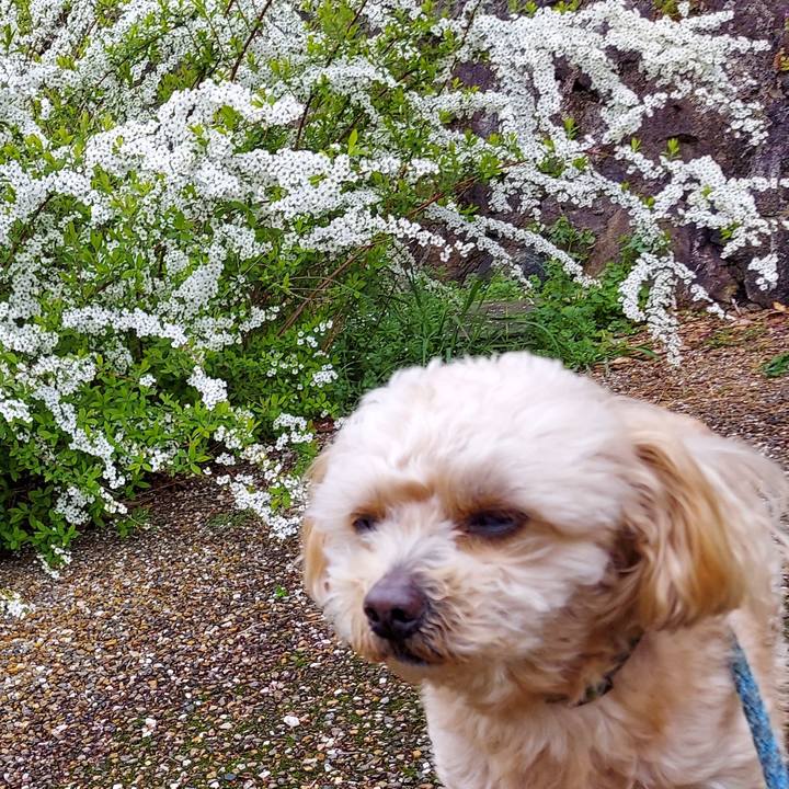 44173421 780d 4ad6 8ae4 880fd8994a45 1648709011390