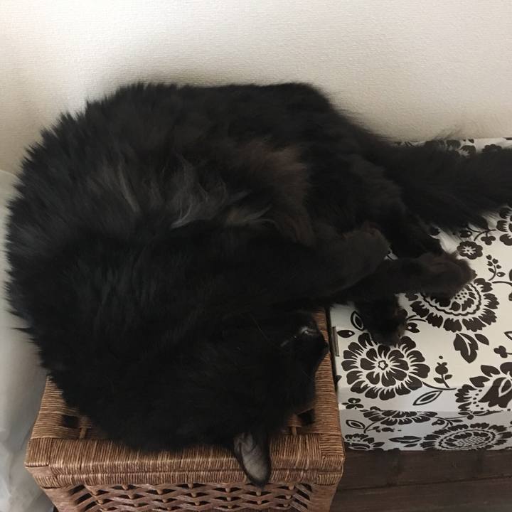 441735fe 6be6 4416 92f8 4963f35a6a1c 1537310041498