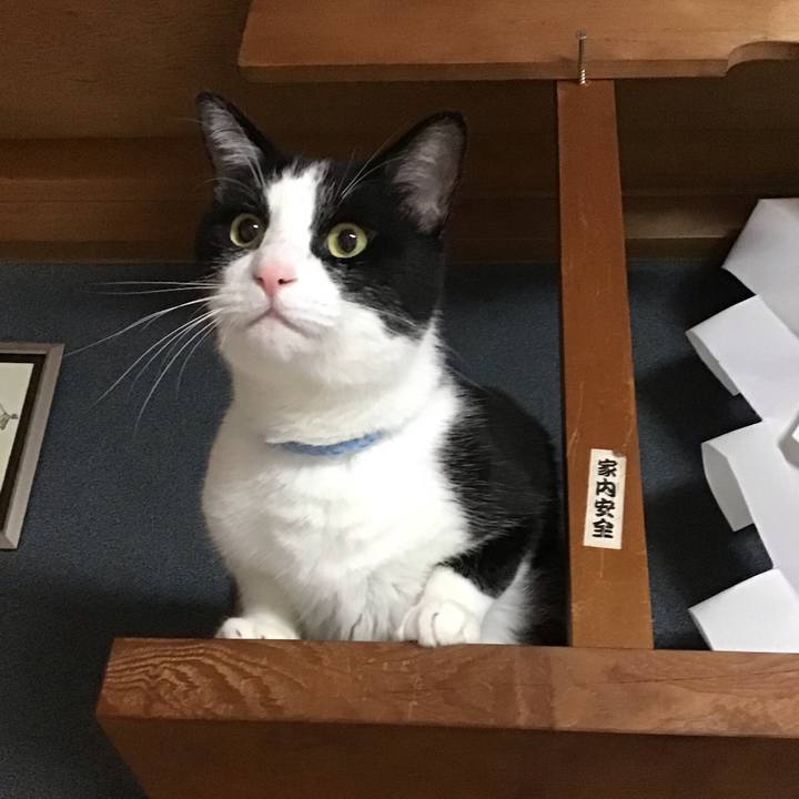 4417554a ac84 440b 9c2a f62ce4846a25 1727597617886