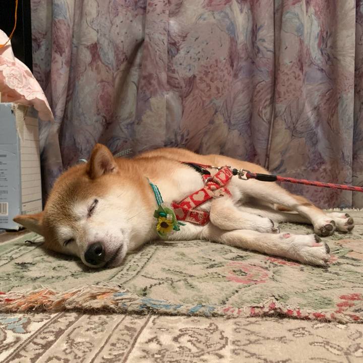 44176902 0657 4fe2 a33d bb36a4598fa5 1629292204902