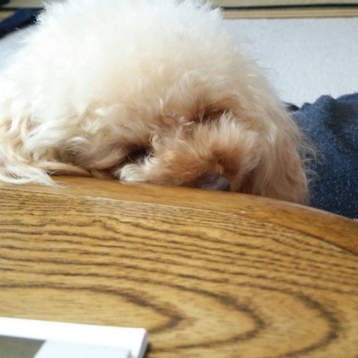 44178633 fc03 4087 ab56 0d7a8906cbd7 1515758458284