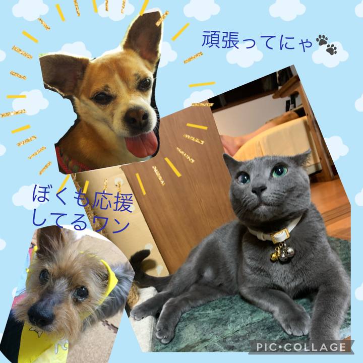 44178c6c 3202 425d 9429 5da7b568d46a 1624597864134