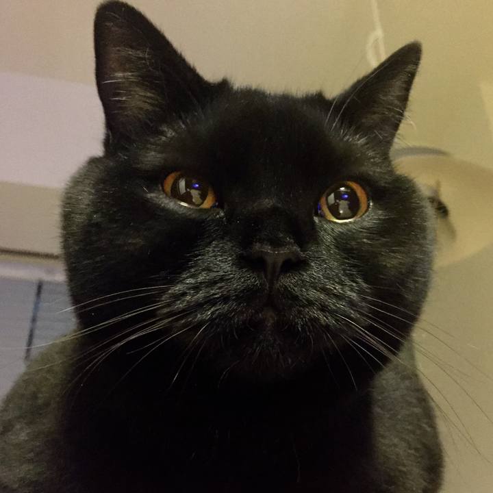 4417b124 d72c 4ea1 97ed f8a191a73e9a 1530194296740