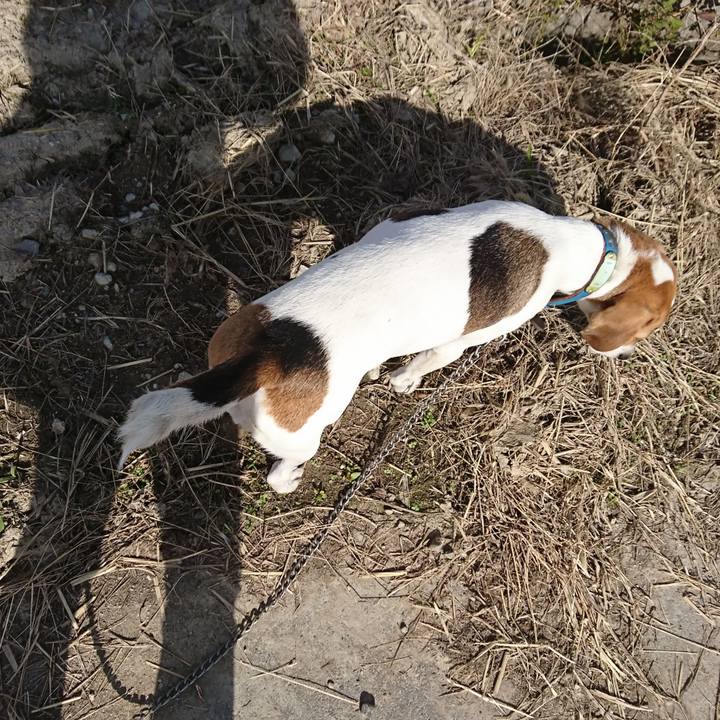 4417cddf 8070 4ddd 94e5 fc7d14c9a28b 1573097614525