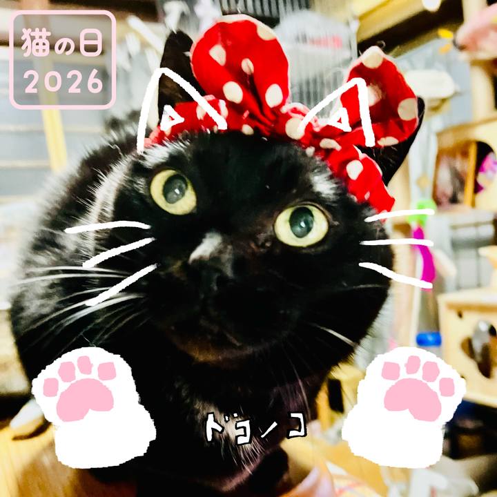 4417d298 7889 4bc6 86d8 d52892a2c21d 1771704210148