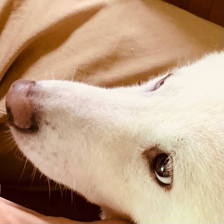 4417f6d5 30ee 4988 8703 3ee727f95f08 1656707971443