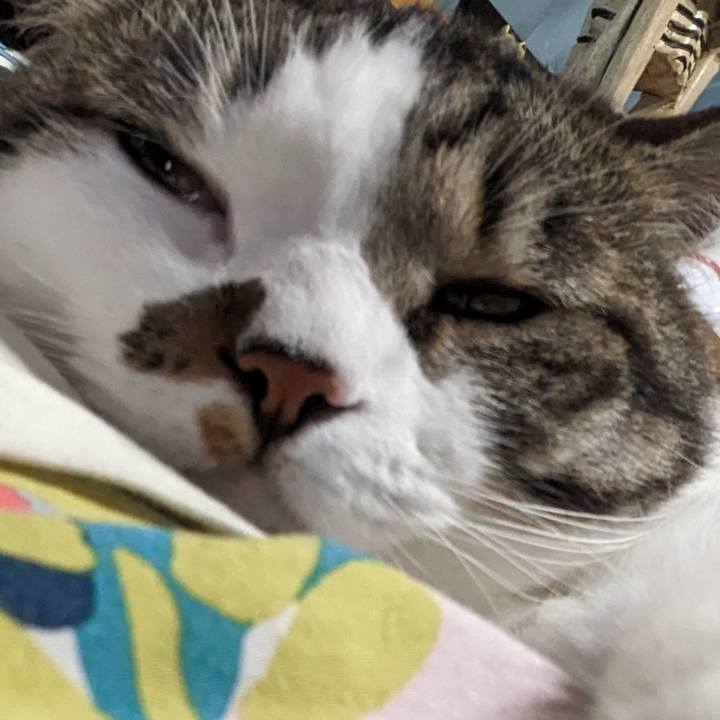 4418184c 2e5d 4faf a05e 5409d6b18c83 1686625456323