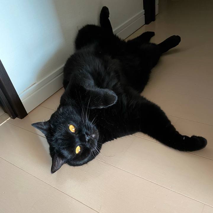 4418203e 3f81 4a42 8803 4b7904871f78 1684227014445