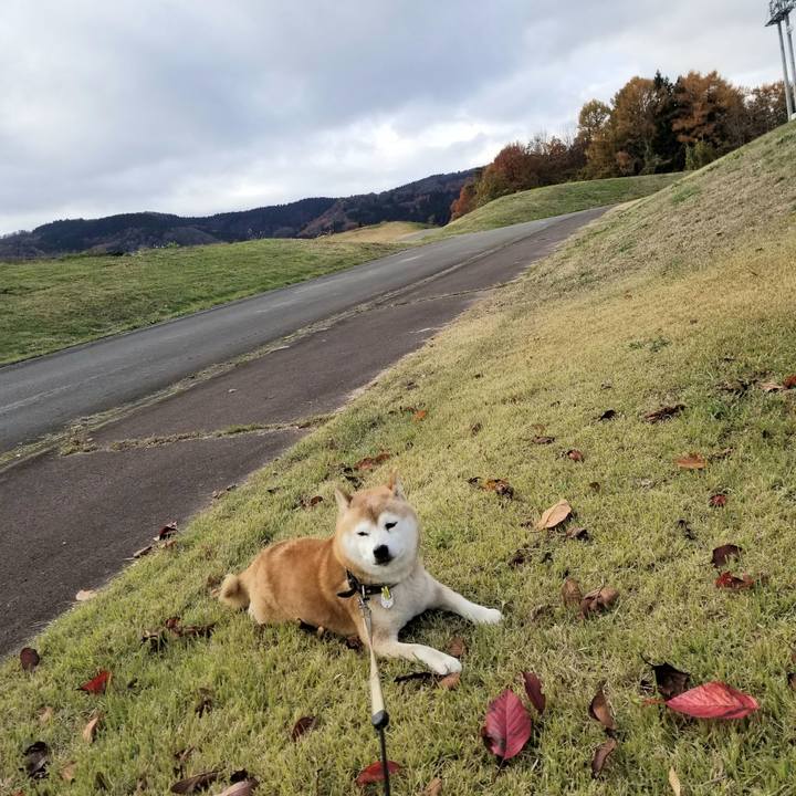 441842b0 d894 40da 835b 0b200d540c2c 1668574610364