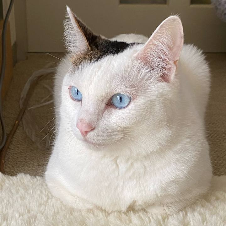 44184fb3 c5f3 46d6 8fe5 89133782f17c 1669675741890