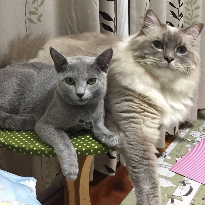 441871bb 9b79 43a2 8c4b 3efd2438f261 1509799469246