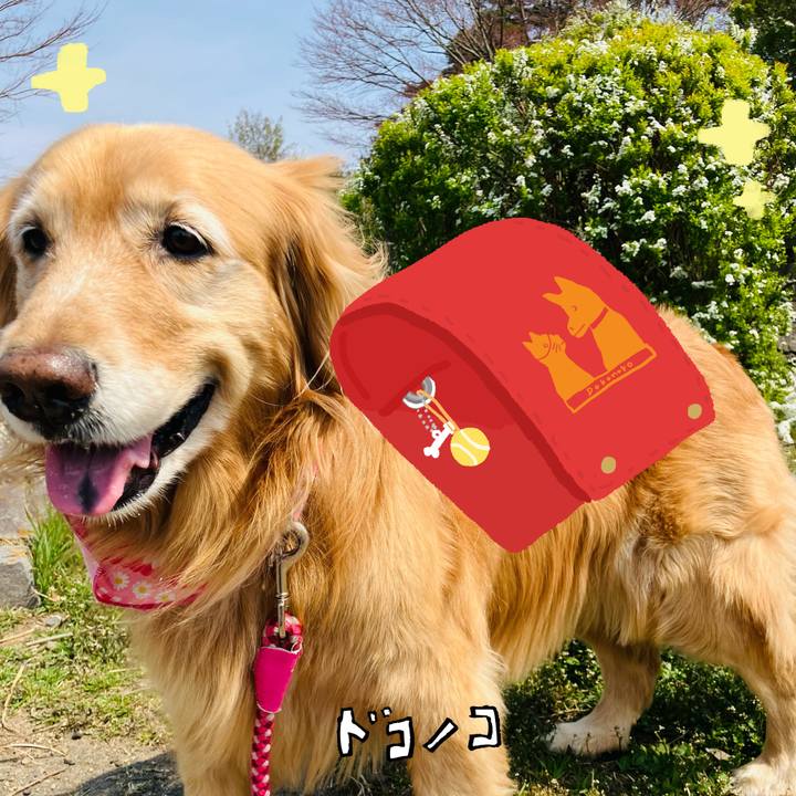 4418db09 22fc 4b38 b5a5 25a9694022ab 1744443769720