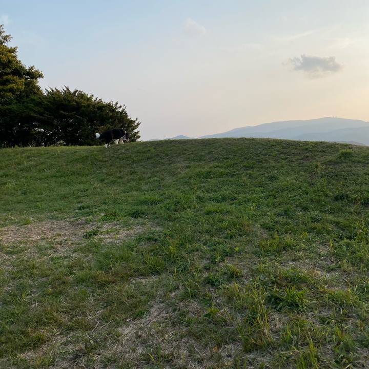 4418e4c3 20a3 4ab0 8777 c20c0967c54f 1651484483886