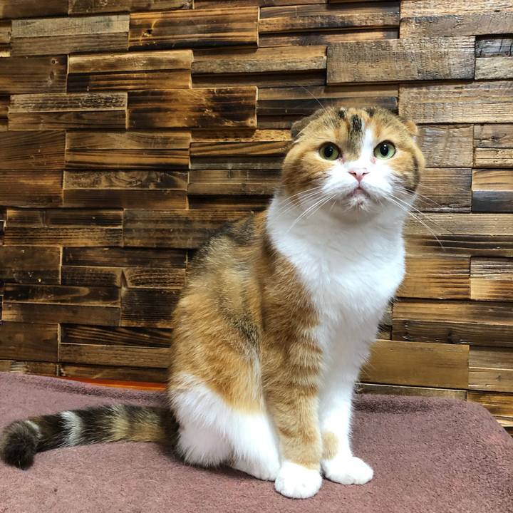 441905f1 d1d2 42a8 887b 45be98d1e8ec 1625396428665