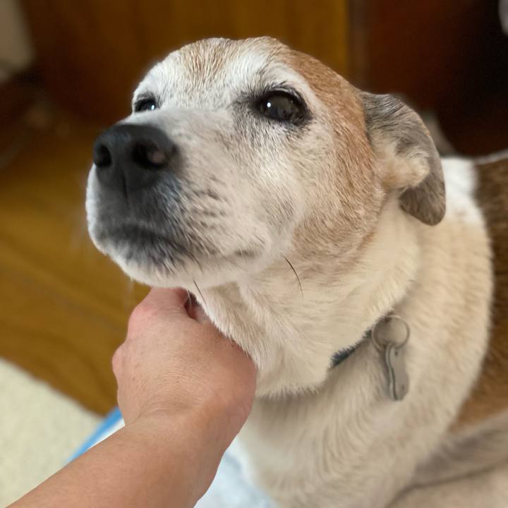 44191c41 5fd7 4f5b b9e3 4ae754b3b44c 1627785273085