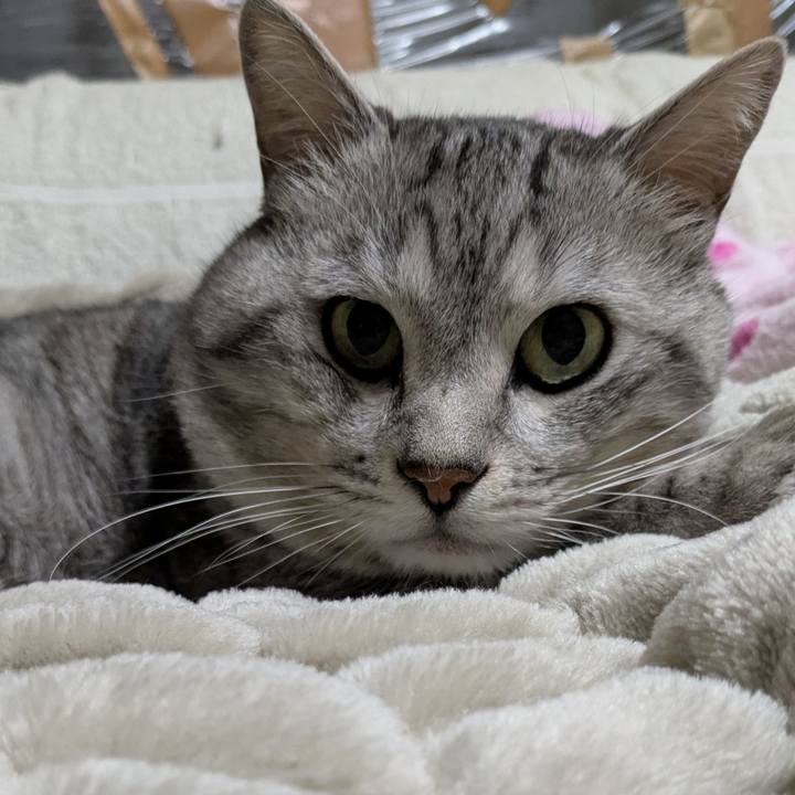 441921e6 a7f1 4cfe 8be7 a32f0116b66e 1741944756892