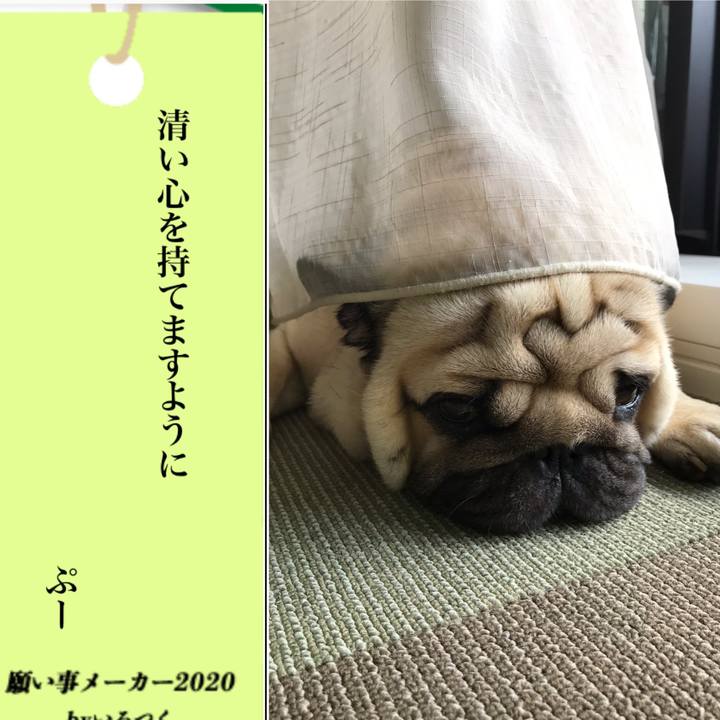 4419297d 47c1 4b6d 9c3b bbe6c4512649 1594119114407