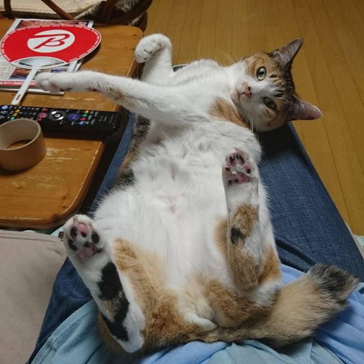 44195812 f2e4 4fb3 8d53 6241d518f44a 1534414216811