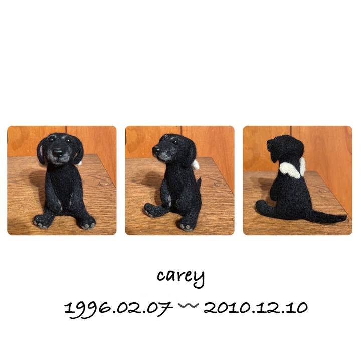 4419631d 054f 419e 8a81 abc83a7ed2ec 1586092541026