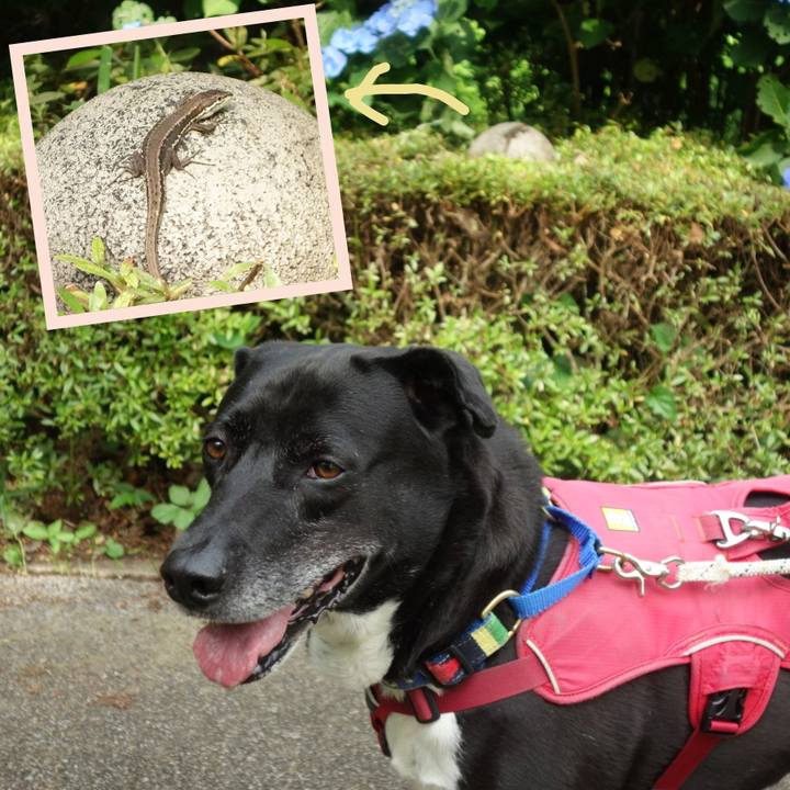 4419634e 106f 4228 96a5 5f01871107b1 1686186200274