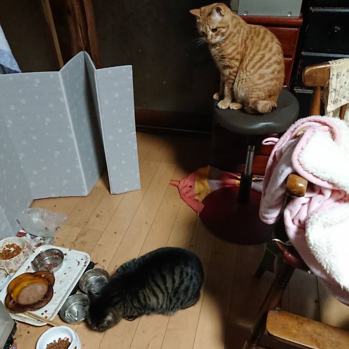 4419ad88 4cf2 4ba8 aff0 c22a546d26ec 1640379335511