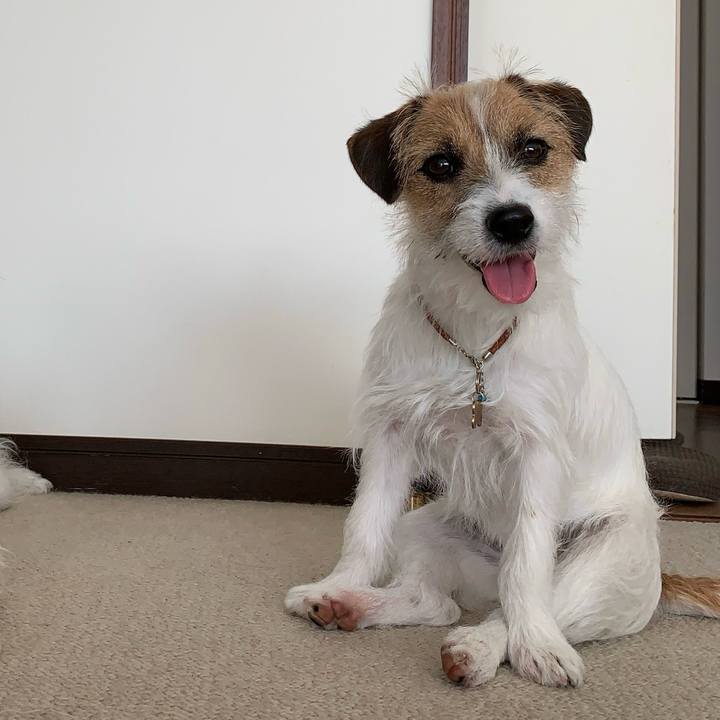 4419c4fd a060 48a2 bd35 18f2b9a14222 1772718367061