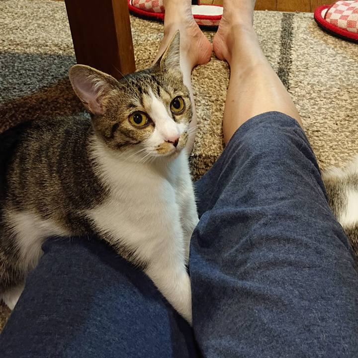 4419ddbb 19fd 4db6 9d33 8836bb77354b 1555761905692