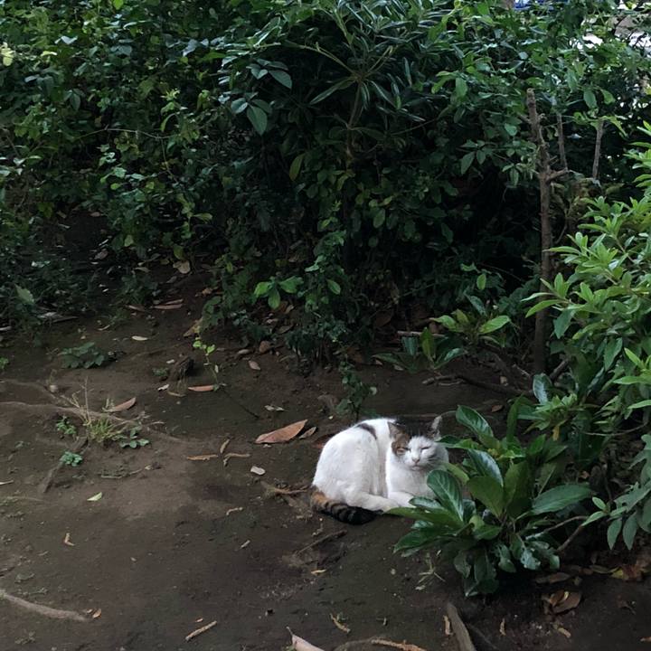 4419fc08 eed1 4d0c 8be8 a8fd957a2c9e 1527860867681