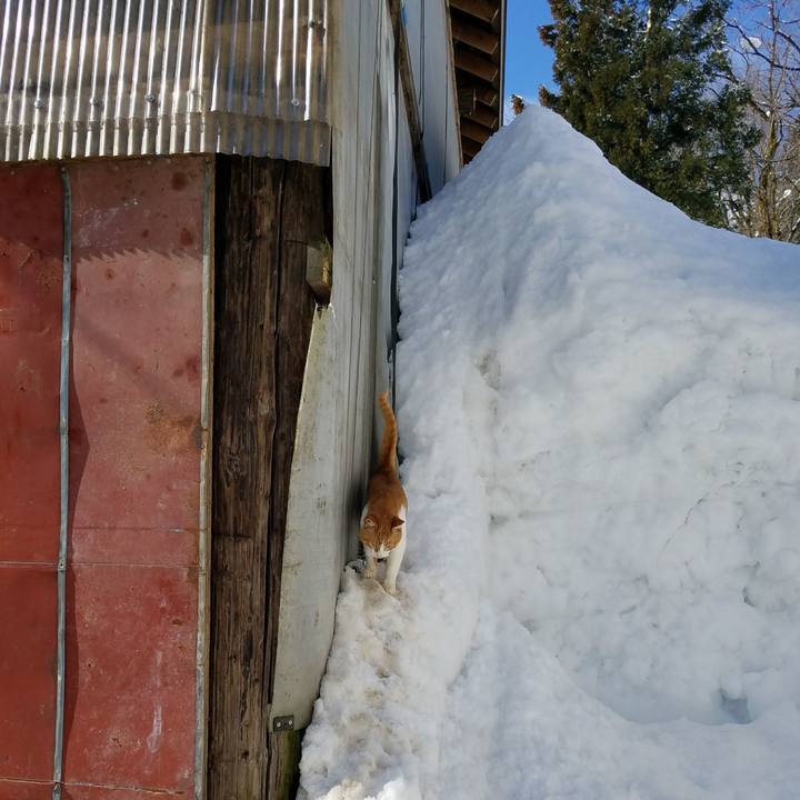 441a0ebc 890c 45fd 8096 21f1a0d2a5ee 1519269917077