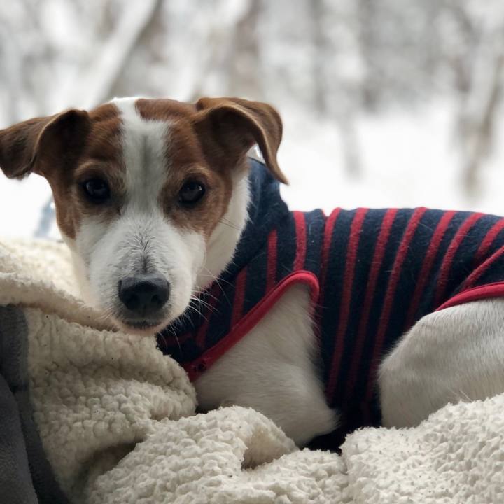 441a4ea8 fdf1 4c23 9457 d3b4f367582a 1740979335173