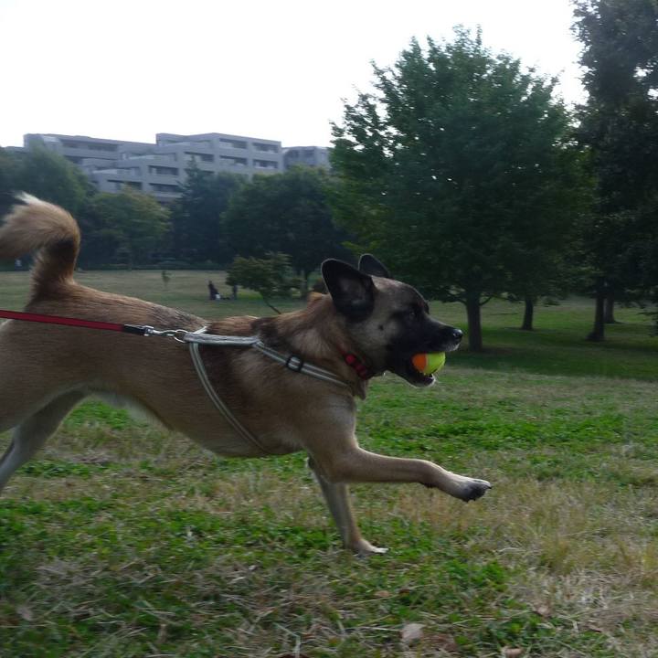 441a5cd4 4777 4959 991b 6307b014cd32 1576725062772