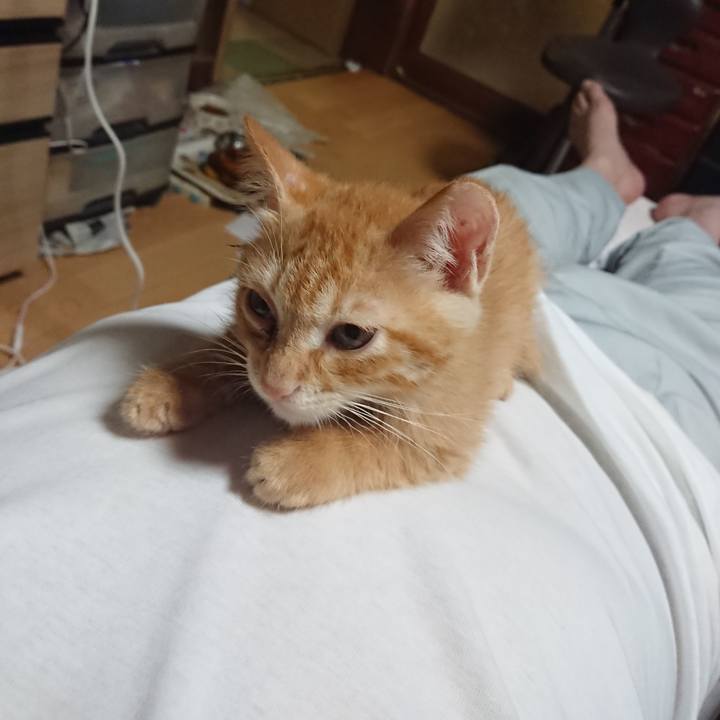 441a64d4 e584 4b36 b1ca 466f2c0b804a 1629371581760