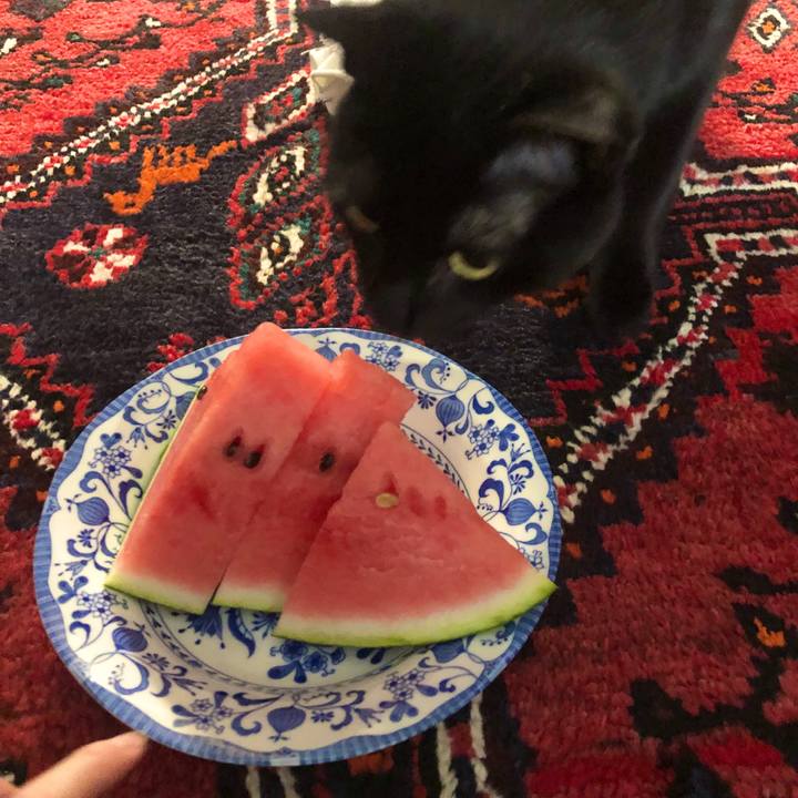 441a841e b7f8 4e7d b7e0 620a51157107 1592309524844