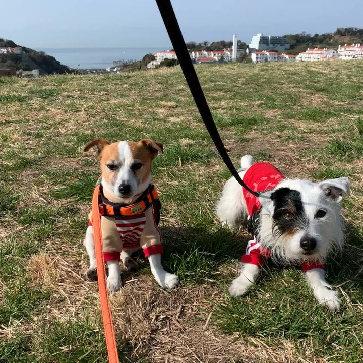 441ace98 ef29 40d8 b786 fcf2ab842ddd 1647476983596