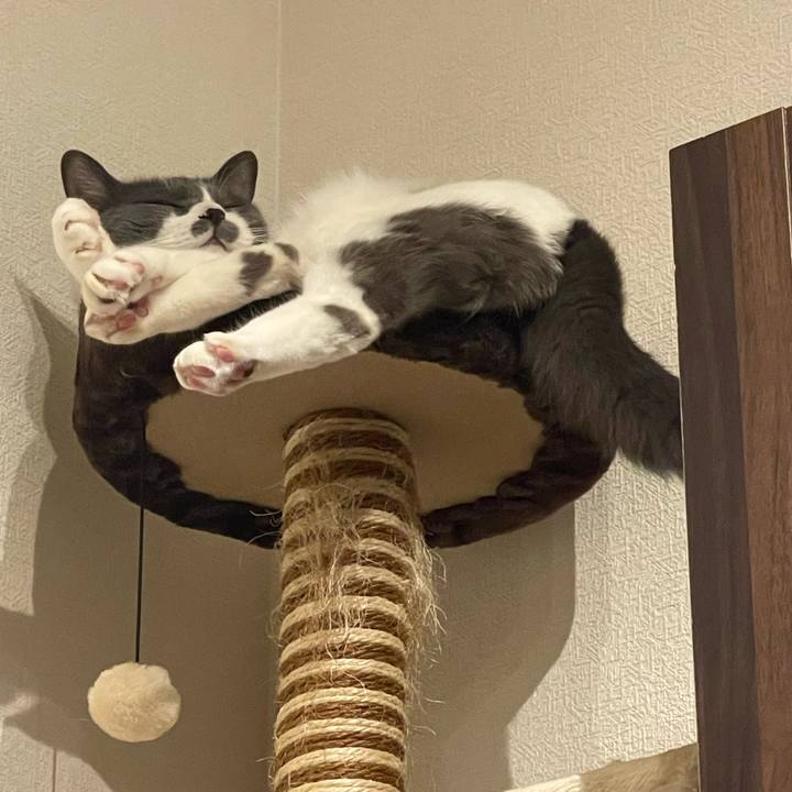 441ad492 f1f0 4011 8c8c 3e23390e4267 1719925229007