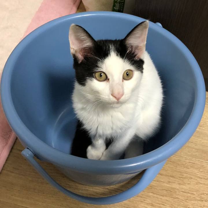 441ad96b 1c97 428a 89ef d560be1f38fb 1619862297048